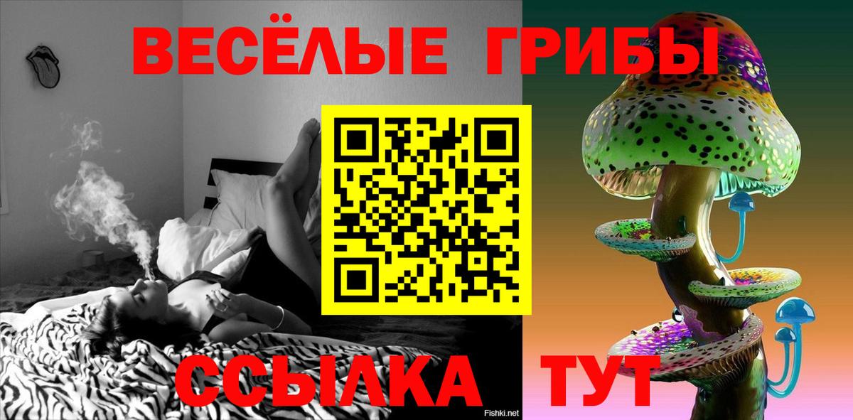 Галлюциногенные грибы MAGIC MUSHROOMS Малгобек